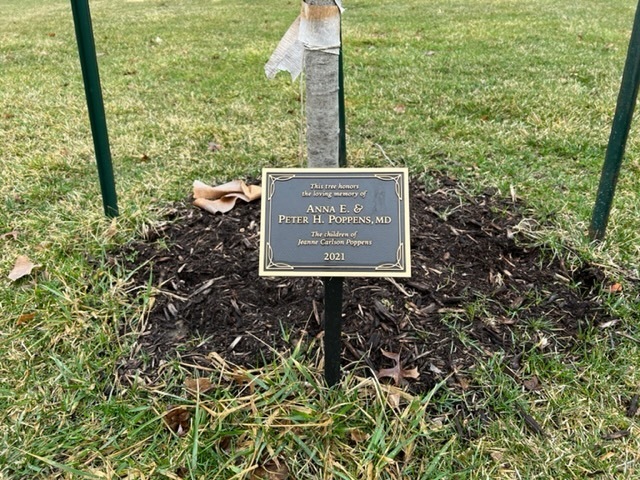 Tree with Memorial Marker
